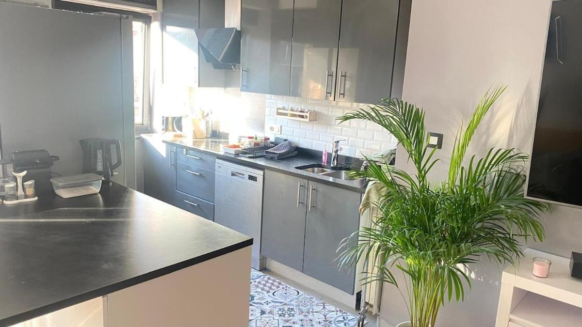 Strelitzyahouse Bruselas